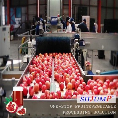 Talian Pemprosesan Jus Delima