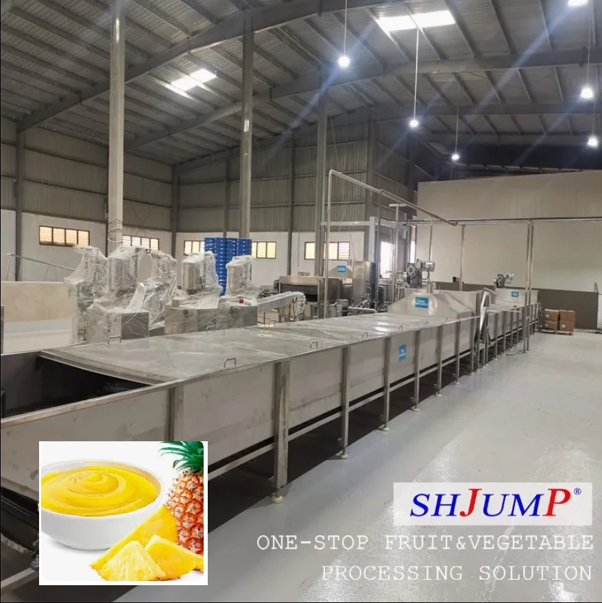 Pineapple Processing Line washing machine