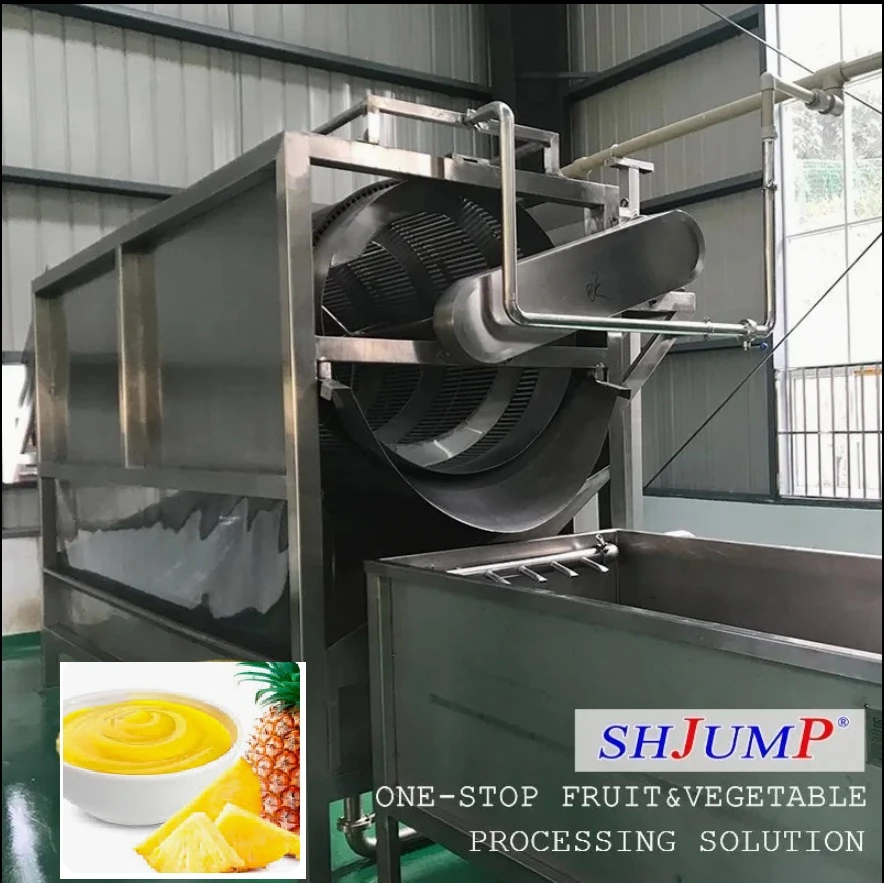 Pineapple Processing line machine